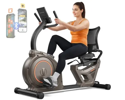 Niceday recumbent bike in brown and orange with an LCD monitor and tablet holder.