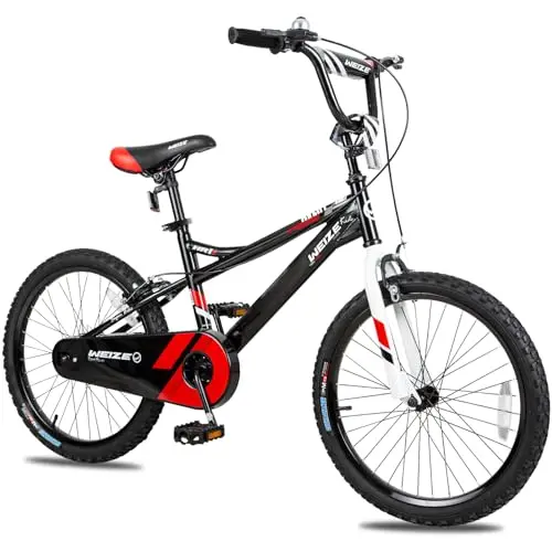 WEIZE 20 inch kids bicycle with coaster brake and enclosed chain guard in black