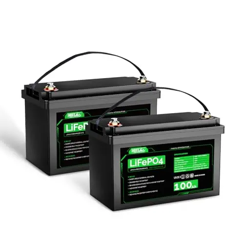 HQST 12V 100Ah Lithium Iron Phosphate battery two-pack