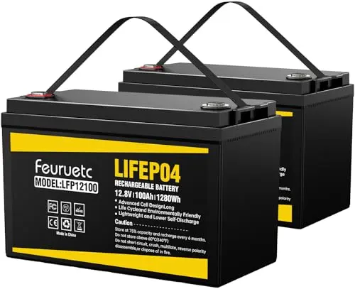 Feuruetc two-pack of 12V 100Ah lithium iron phosphate batteries