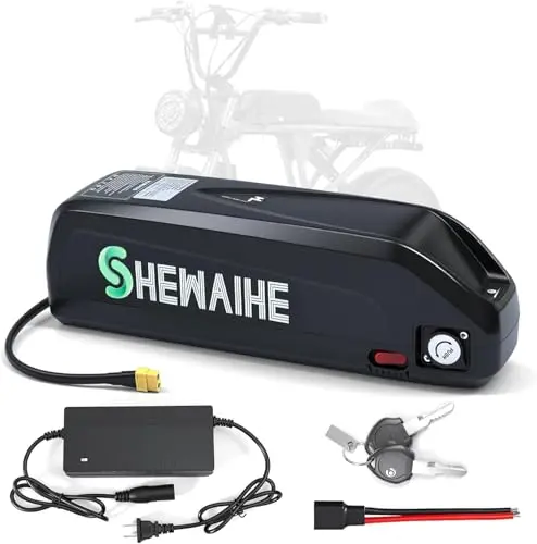SHEWAIHE 48V Hailong style electric bike battery with USB port